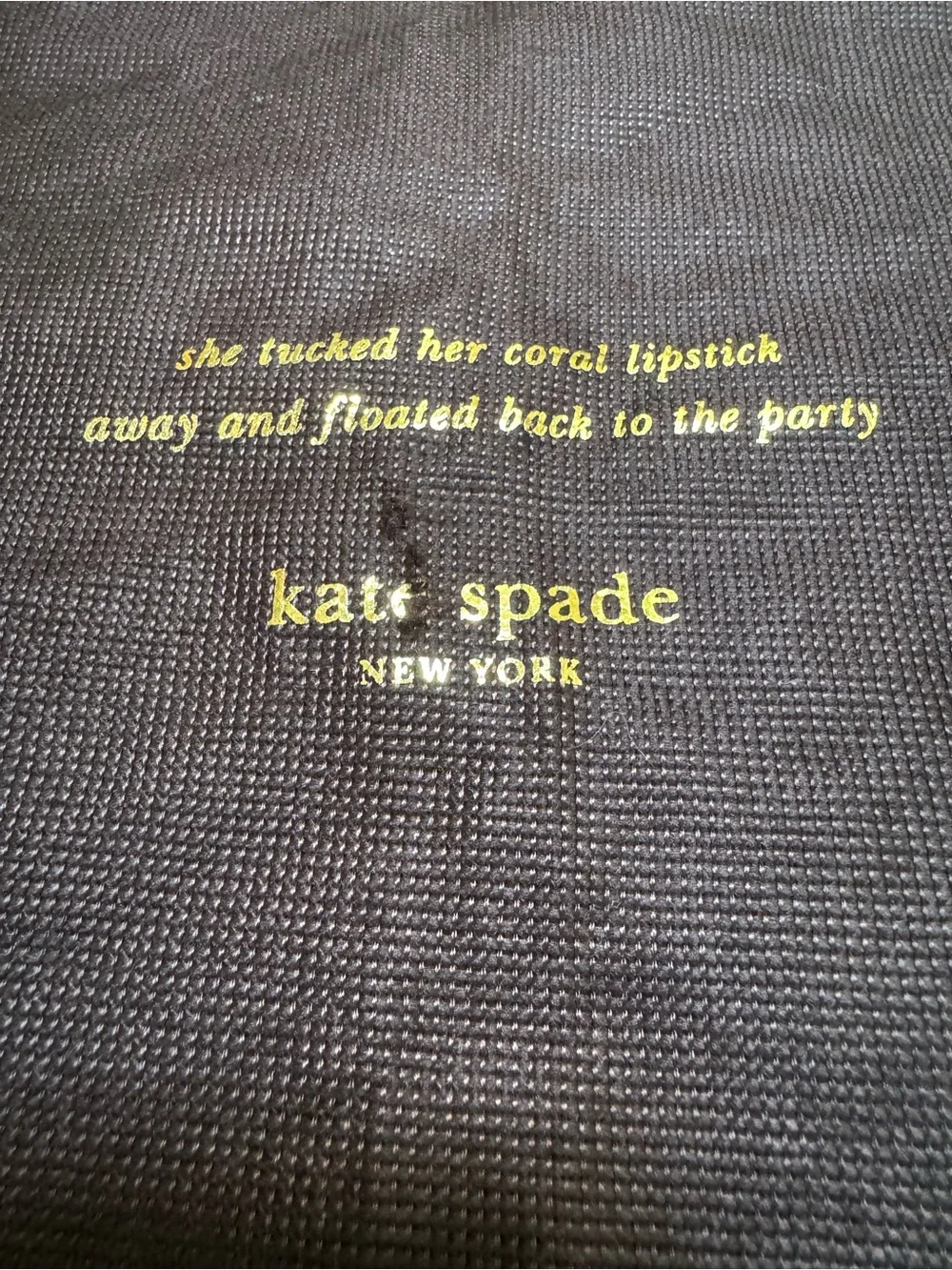 Kate Spade 19X27 Large Brown Dust Bag Pink Rope and floated back to the party